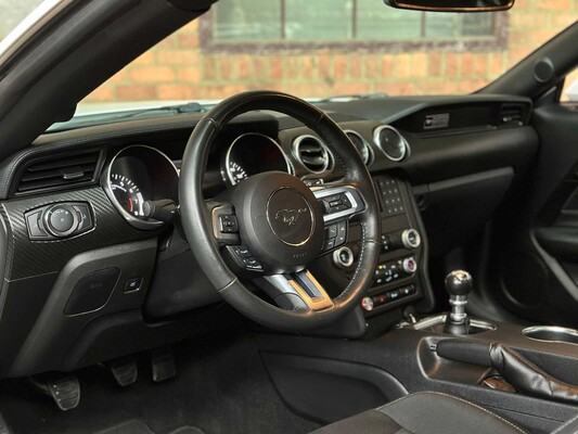 Ford Mustang EcoBoost (Handgeschakeld) 290pk 2020