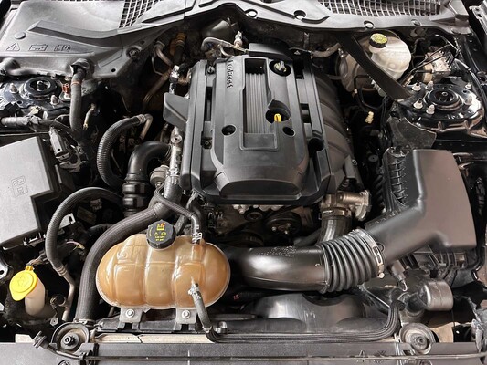 Ford Mustang Ecoboost Cabriolet 290pk 2019