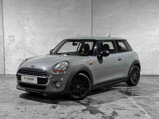 Mini 1.2 One Salt Business 102pk 2016, ZD-645-Z