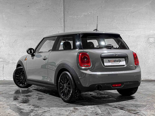 Mini 1.2 One Salt Business 102pk 2016, ZD-645-Z