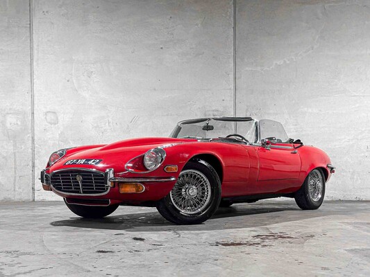 Luxus-, Sport- und Oldtimer in Tiel