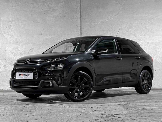 Pkw und Nutzfahrzeuge in Tiel