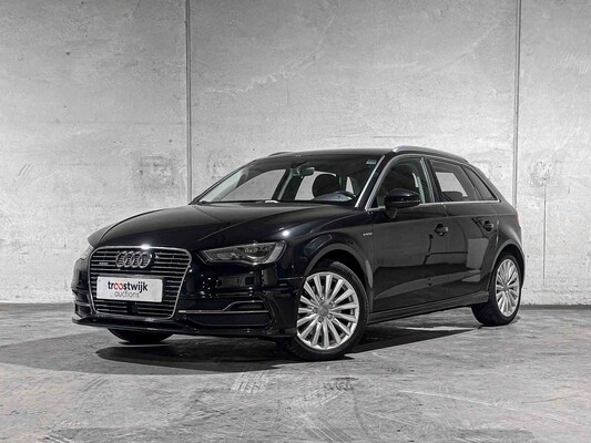 Pkw und Nutzfahrzeuge in Tiel