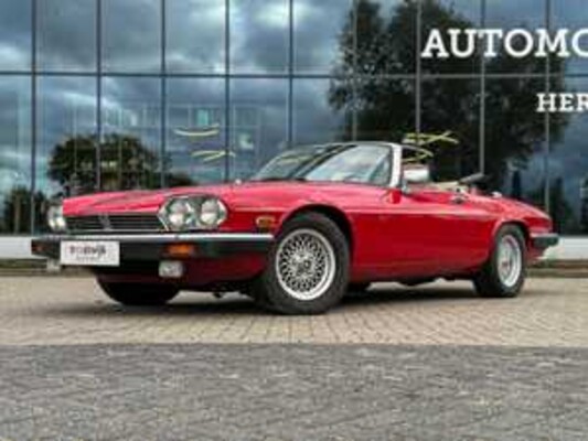 Luxury, sports and classic cars in Tiel