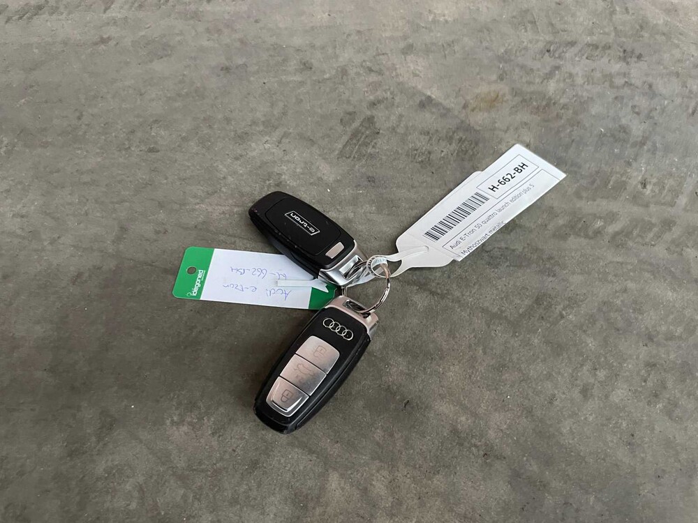 Audi e-tron 50 Quattro Launch Edition Plus 71 kWh 313PS 2019, H-662-BH