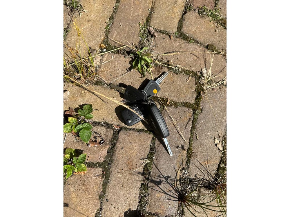 Ford Transit Dethleffs Just go T7055dbl (Automatik) 130PS 2024 Camper