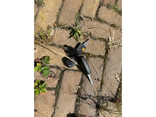 Ford Transit Dethleffs Just go T7055dbl (automaat) 130pk 2024 Camper