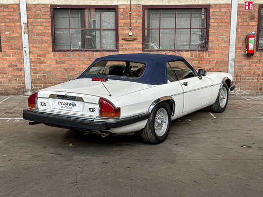 Jaguar XJS Cabriolet 5,3 V12 266 PS 1989