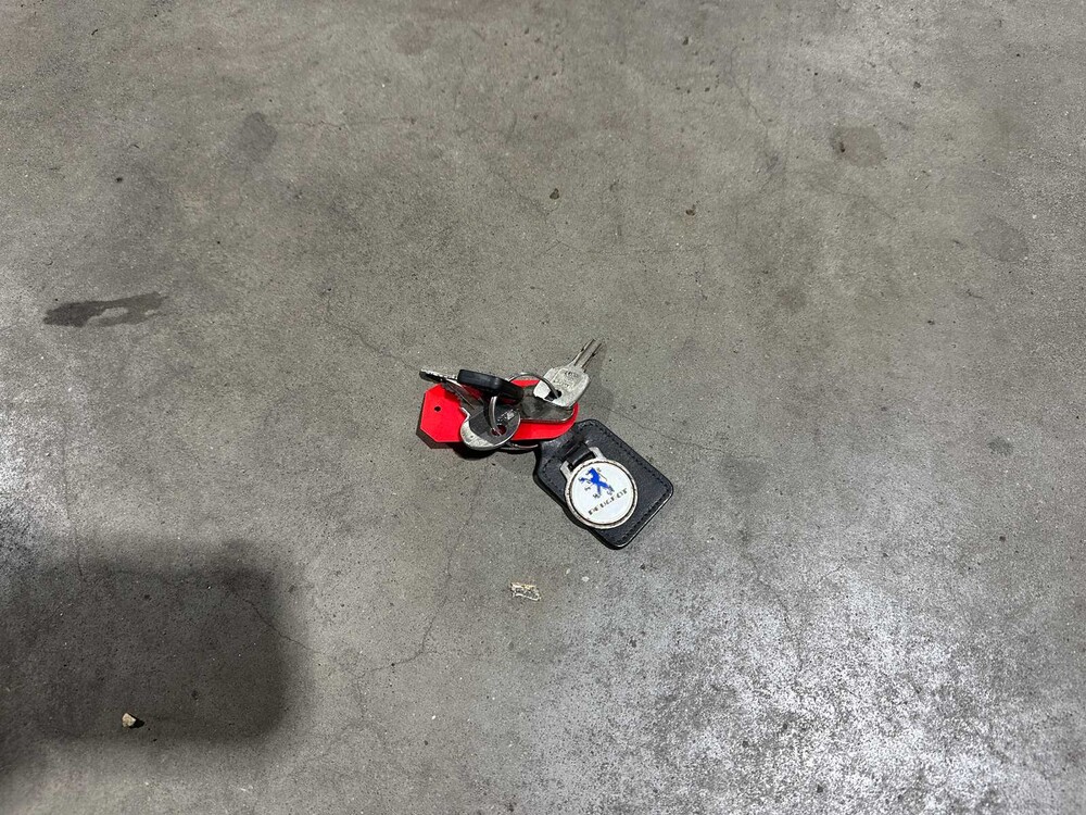 Peugeot 404 P-404-U6 1966, DR-99-93