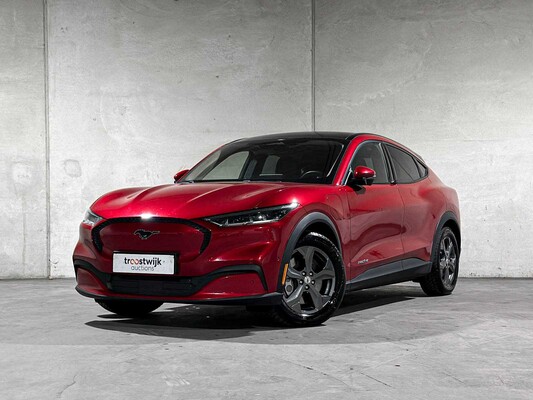 Premium daily drivers te Tiel