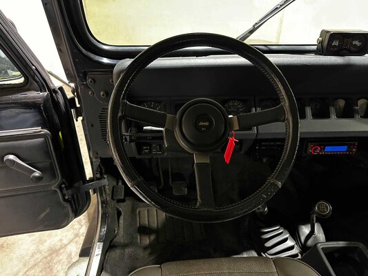 Jeep Wrangler 4.0i Hardtop 184pk 1993 (Origineel-NL), 55-GDG-3