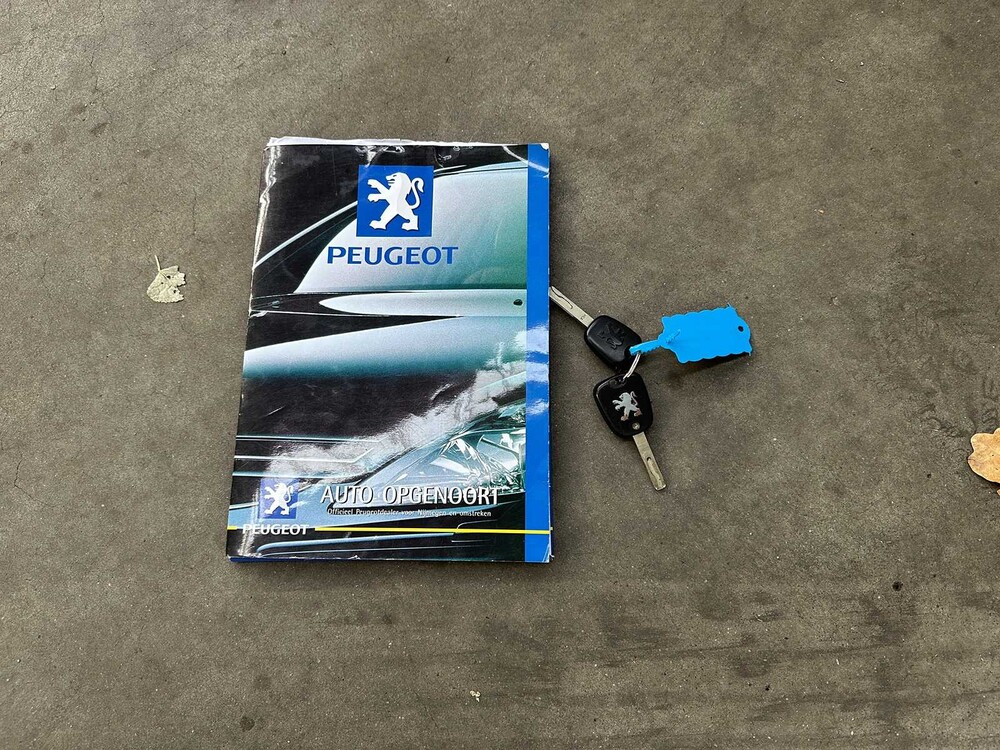 Peugeot 307 SW 1.6 16V 109 PS 2003, 98-NL-HN