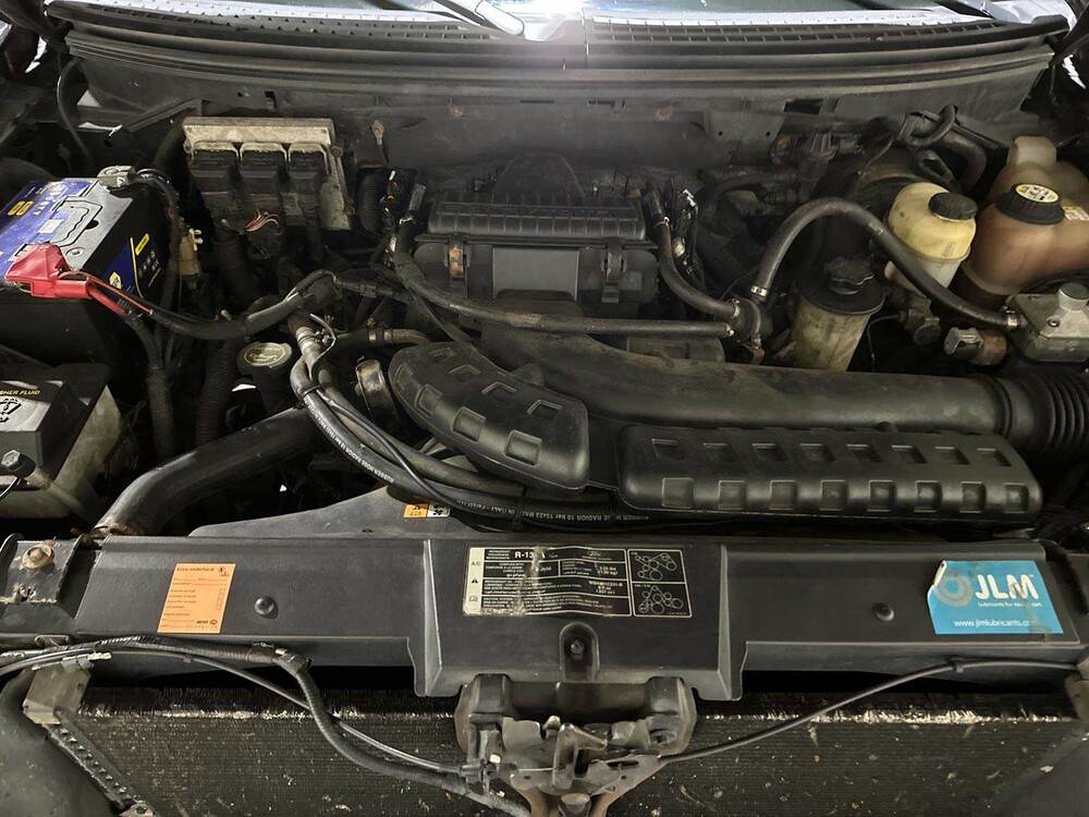 Ford F150 Harley Davidson 5.4L V8 300pk 2009, 20-VRV-4