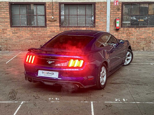 Ford Mustang Coupe Ecoboost Premium 310 PS 2016