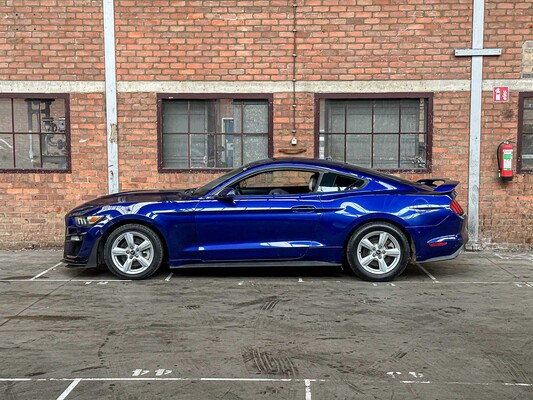 Ford Mustang Coupe Ecoboost Premium 310 PS 2016