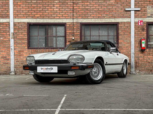 Young- en oldtimers te MIlsbeek