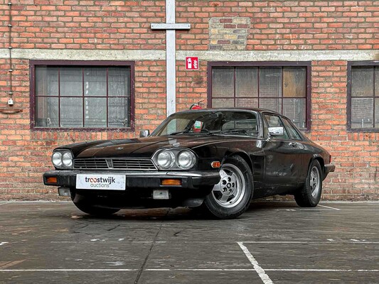 Young- en oldtimers te Milsbeek