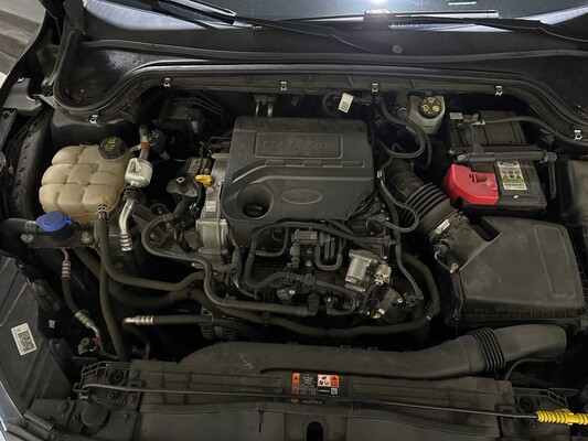 Ford Focus 1.0 EcoBoost Trend Edition Business 101pk 2020 (Origineel-NL + 1e eigenaar), H-037-FL
