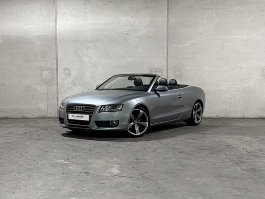 Premium daily drivers te Tiel